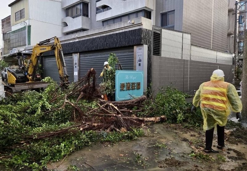 颱風巴威襲台,11日造成新竹市零星路樹傾倒災情,一度影響通行。(新竹市政府提供)中央社記者魯鋼駿傳真 115年7月11日