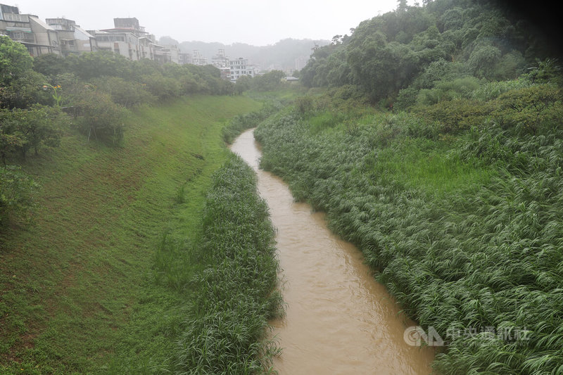 受颱風巴威暴風圈持續影響,氣象署表示,11日白天為降雨最猛烈時候,台中以北山區慎防超大豪雨,入夜後隨著颱風通過台灣北方,北部降雨趨緩。圖為台北市內湖區內溝溪溪水混濁。中央社記者翁睿坤攝 115年7月11日