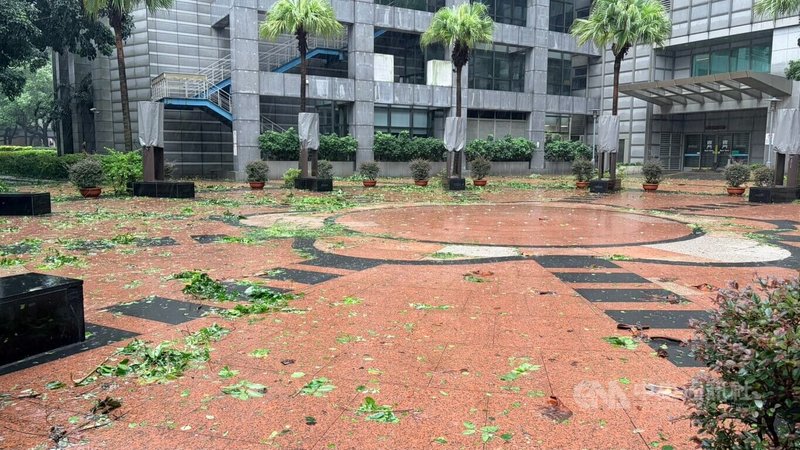 颱風巴威為台灣帶來風雨，新北市民廣場11日到處可見殘枝落葉。市府環保局表示，12日將加班收運垃圾，視風雨情形並以人員安全無虞為前提，提早動員清掃街道與髒亂點。中央社記者黃旭昇攝　115年7月11日