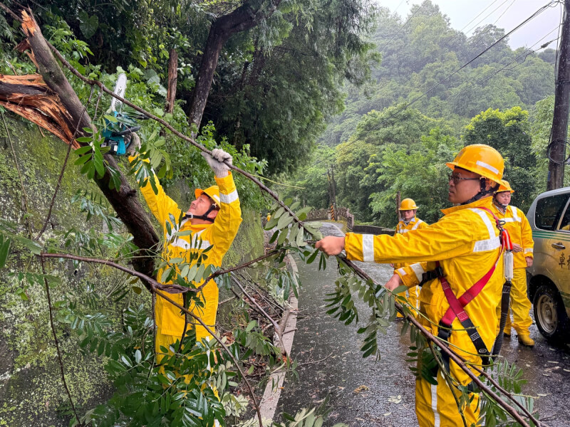 圖為颱風巴威強風造成宜蘭大同鄉樹木倒塌，壓損高壓線路，台電派人員進行搶修。（台電提供）中央社記者曾筠庭傳真　115年7月11日