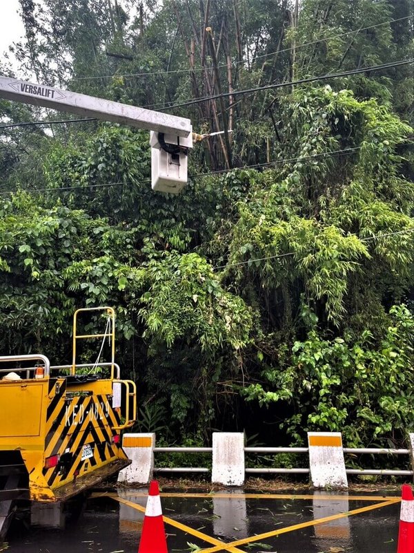 颱風巴威來襲，台灣電力公司台北南區營業處11日表示，累計曾停電戶數計2104戶，截至下午1時30分止，1961戶恢復供電，還有143戶停電搶修中，台電指出，主要因為大型竹子壓線及路樹倒塌。（台電台北南區營業處提供）中央社記者黃旭昇傳真　115年7月11日