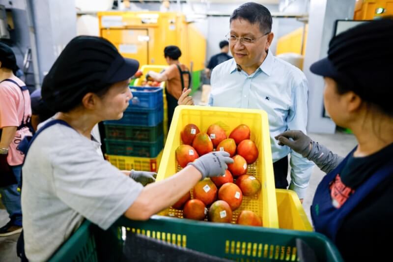 台灣自然屋董事長陳俊雄(中)表示,歐洲通常從印度和巴基斯坦等國進口芒果,但台灣芒果在風味上能輕易取勝,有助於克服高價位讓人卻步的問題。(路透社)