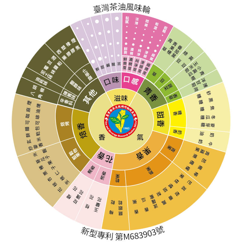 茶改場發表臺灣茶油風味輪