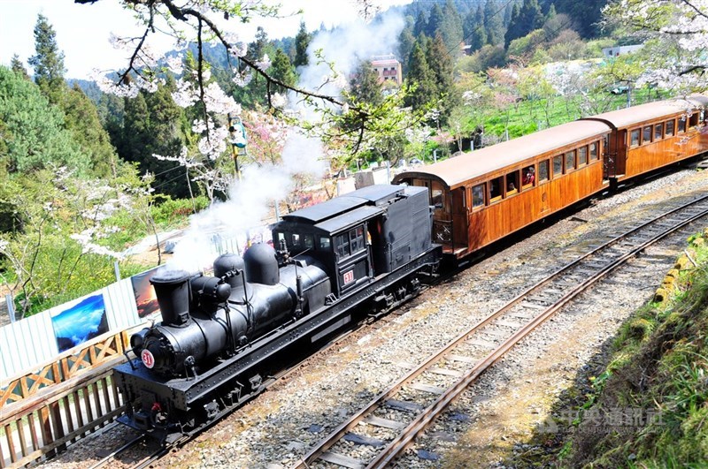 圖為國寶級31號蒸汽賞櫻專車駛向沼平車站。（中央社檔案照片）