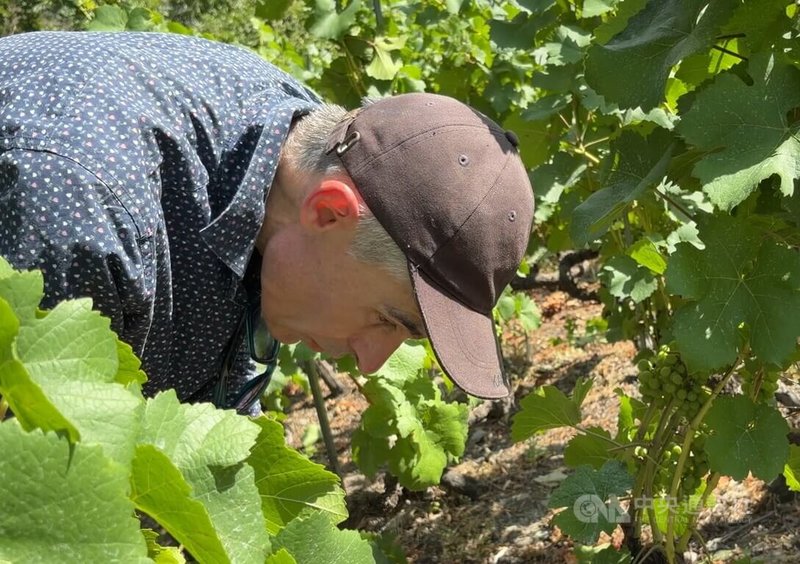 酒農艾米格(Othmar Elmiger)認為親手種植葡萄、釀葡萄酒,是一份充滿成就感與親近土地的工作。尤其當人們感受到與大自然的連結,葡萄酒即有了更深層的意義。中央社記者郭芳君瓦萊州攝115年7月21日