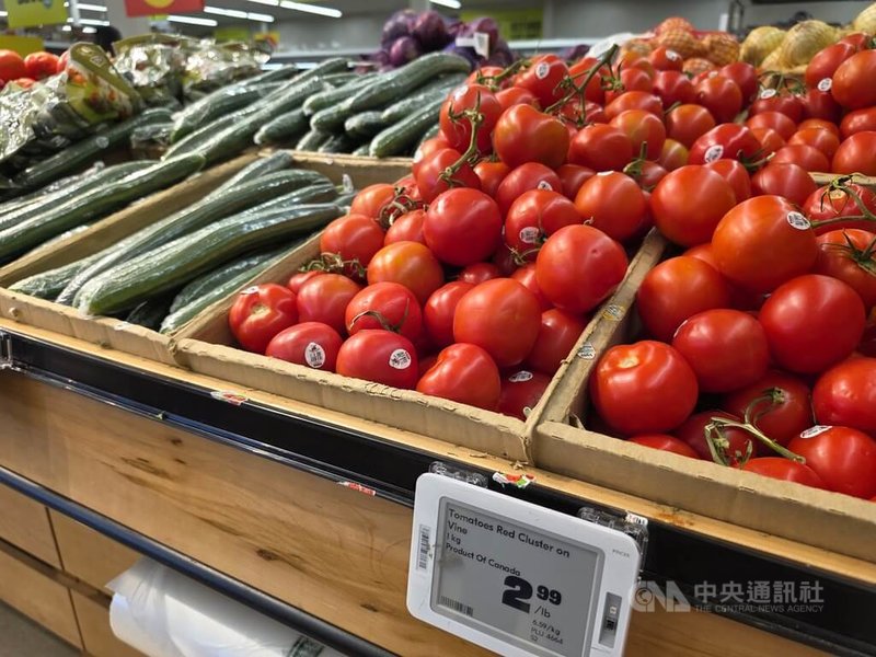 加拿大食品雜貨價格不斷上漲，例如番茄2026年6月價格較2025年同期大漲32%。中央社記者程愛芬溫哥華攝　115年7月23日