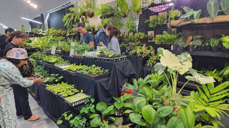 亞洲植物博覽會今年首度移師桃園,即日起至26日於桃園會展中心登場,除了舉辦特色植物拍賣會,還有論壇及發表會等活動。(桃市府提供)中央社記者葉臻傳真 115年7月24日