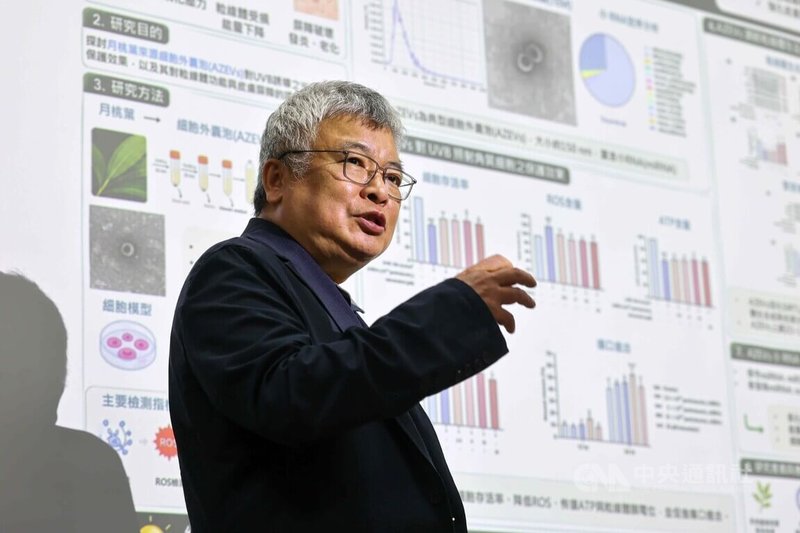 國立中興大學森林系教授王升陽研究團隊28日發表最新研究，以月桃葉為研究對象，從葉片分離出奈米級細胞外囊泡，發現可有效降低紫外線造成的皮膚光老化傷害，研究成果刊登國際期刊BioFactors。中央社記者趙麗妍攝　115年7月28日