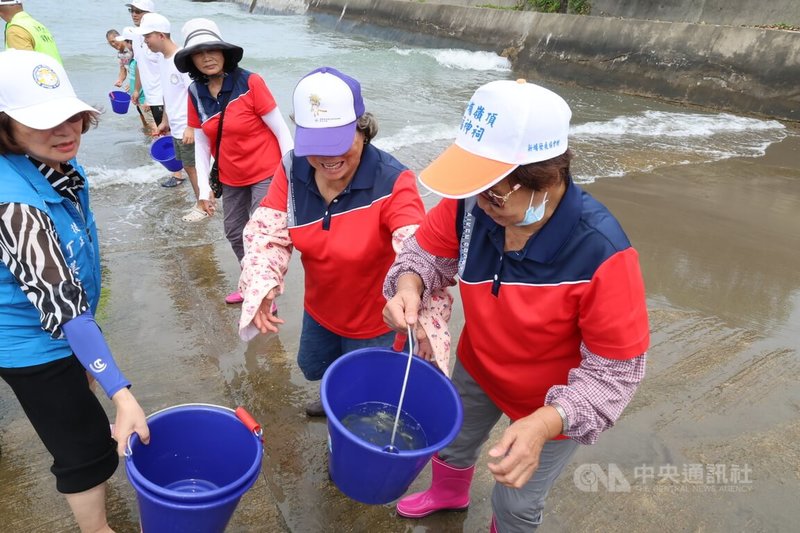 苗栗縣政府農業處29日在通霄新埔漁港舉辦魚苗放流活動，眾人將1萬尾分裝在小水桶的魚苗分批接力傳遞、放流入海，為2026苗栗海洋觀光季揭開序幕。中央社記者管瑞平攝　115年7月29日