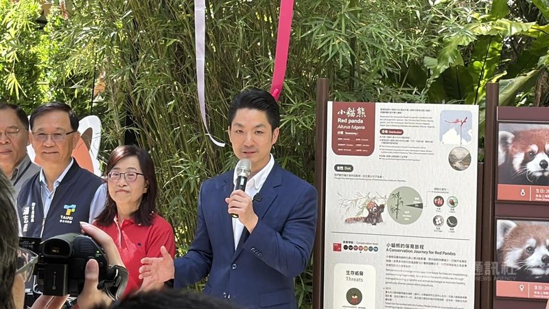 台北市長蔣萬安（右）29日在台北市立動物園出席「小貓熊亮相記者會」致詞表示，2隻小貓熊不只是雙城論壇具體交流成果，雙方也肩負瀕危動物保育、物種多樣性及永續發展等責任。右2為台北市副市長林奕華。中央社記者葉蓁芸攝　115年7月29日