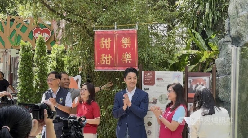 台北市長蔣萬安（右3）、副市長林奕華（右4）29日在台北市立動物園出席小貓熊亮相記者會，公布2隻小貓熊名字為「樂樂」及「甜甜」。中央社記者葉蓁芸攝　115年7月29日