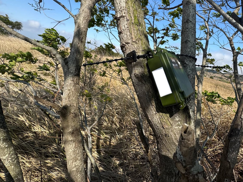 林業保育署台中分署近年在台中大肚台地淺山及海岸濕地，營造友善棲地，並委託專業團隊辦理台中地區草鴞監測，透過自動相機、聲音監測及棲地現況盤點等方式進行調查。（林業保育署台中分署提供）中央社記者蘇木春傳真　115年7月30日