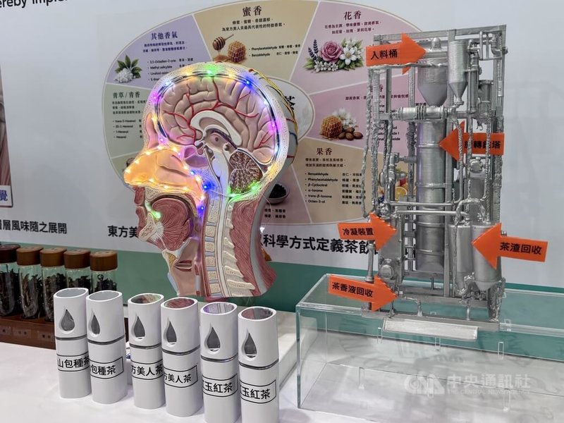 食品工業發展研究研發出「AI智慧茶香氣輪廓建模技術」，希望將茶葉老師傅的經驗轉化為AI模型，不只提升茶香分析能力，更瞄準解決茶飲產業長年面臨品質不一、缺工等痛點。中央社記者曾筠庭攝　115年8月1日