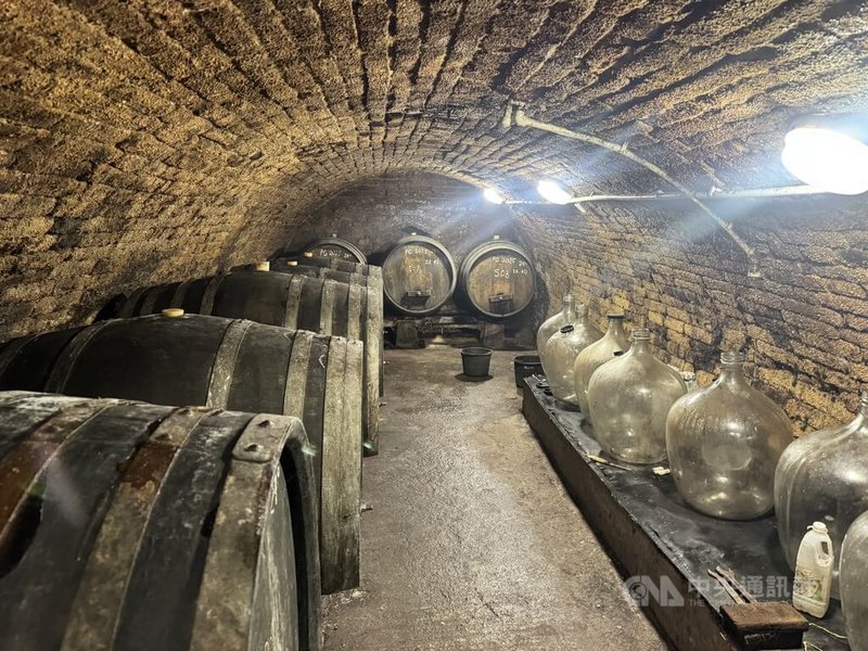 捷克再度迎來熱浪,各地氣溫逼近40度。捷克南方摩拉維亞(Moravia)地區的傳統葡萄酒酒窖常年保持宜人溫度,旅客可在涼爽環境中品嘗當地葡萄酒。隨著極端高溫日益頻繁,酒窖逐漸成為民眾避暑的熱門去處。中央社記者劉郁葶摩拉維亞攝 115年8月2日