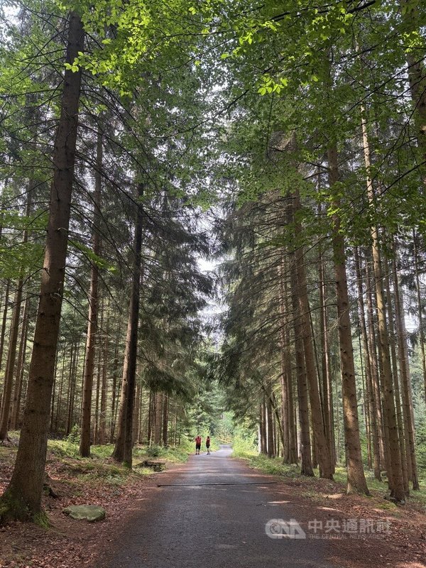 捷克再度迎來熱浪,各地氣溫逼近40度。捷克觀光局(Czech Tourism)建議,民眾可安排前往森林、公園及山區健行,享受較低氣溫與天然樹蔭。中央社記者劉郁葶舒馬瓦國家公園攝 115年8月2日