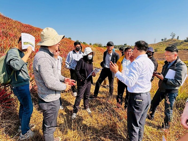 廢耕鳳梨田變樹林 高雄造林碳匯專案獲審議通過 | 地方 | 中央社 CNA 廢耕鳳梨田變樹林 高雄造林碳匯專案獲審議通過 | 地方 | 中央社 CNA