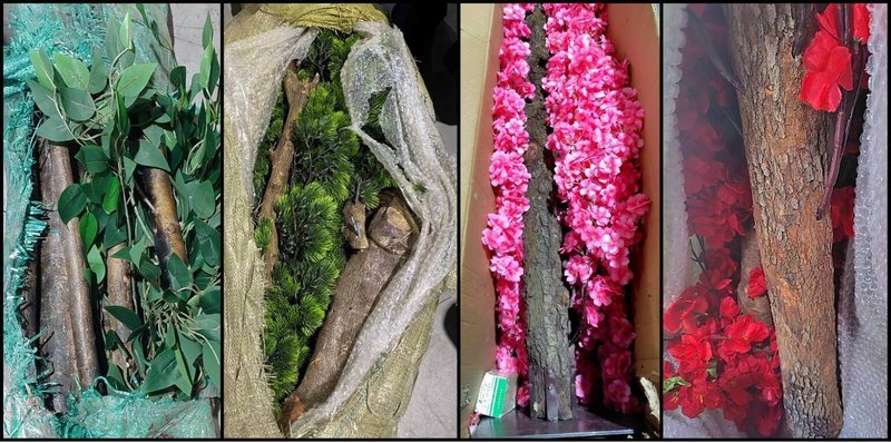 農業部動植物防疫檢疫署統計，近3年配合財政部關務署查獲快遞違規輸入木製品受裁罰案件持續攀升。防檢署提醒，仿真樹等未經加工的木製品、種子都屬於檢疫物，跨境網購應申報。（防檢署提供）中央社記者汪淑芬傳真  115年8月4日