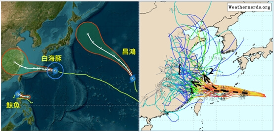 氣象專家吳德榮指出，最新歐洲模式系集模擬顯示，颱風白海豚8日起模擬路徑現差異。（圖取自氣象應用推廣基金會網頁www.metapp.org.tw）