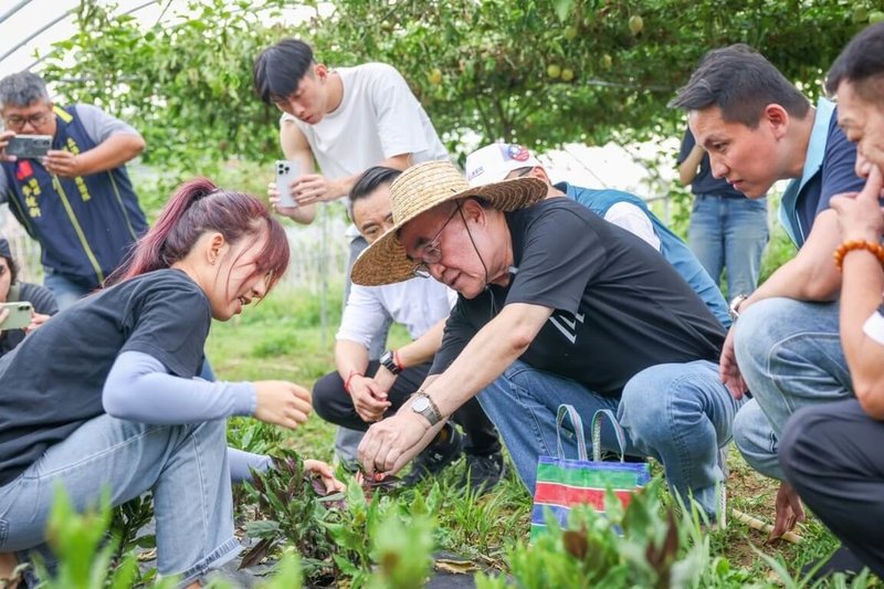 國民黨新北市長參選人李四川（前左2）13日參訪淡水牛埔有機農場，與青農一同採摘作物及料理，體驗食農教育「從產地到餐桌」理念。（李四川競辦提供）中央社記者曹亞沿傳真　115年8月13日