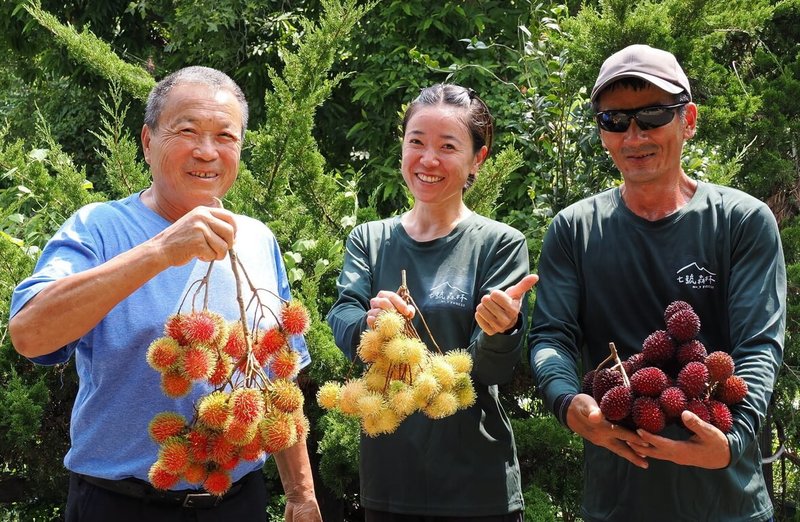 嘉義中埔青農種植紅毛丹　饕客想吃不用飛東南亞 | 地方 | 中央社 CNA