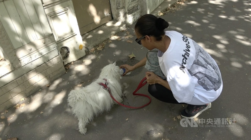 法國持續遭熱浪侵襲，一名巴黎人8月13日遛狗時，拿出隨身攜帶的一瓶水，讓愛犬在陰涼處解渴消暑。中央社實習記者洪嘉琪巴黎攝　115年8月18日