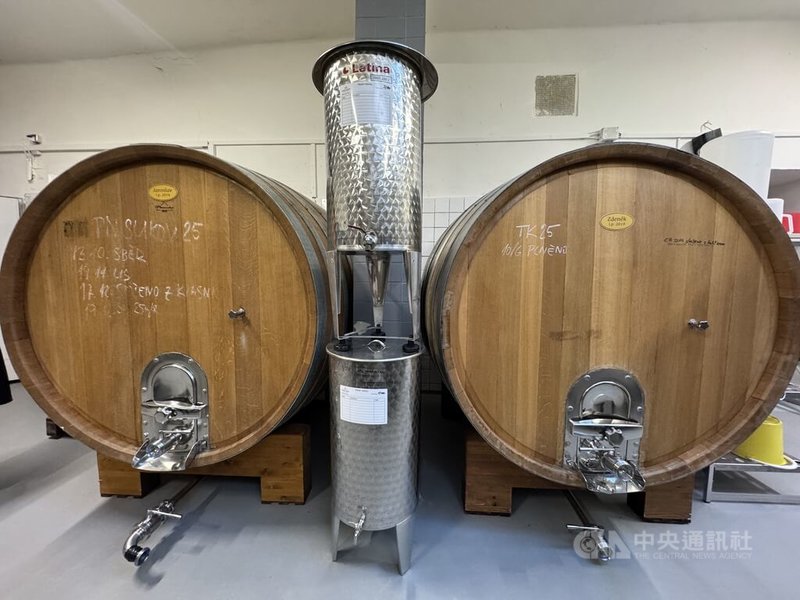 庫特納霍拉酒莊(Wine Cellars Kutna Hora)自2006年全面採行有機栽培,是中歐生物有機葡萄種植的先驅,並於2009年取得全球Demeter生物動力農業認證。中央社記者劉郁葶庫特納霍拉攝 115年8月19日
