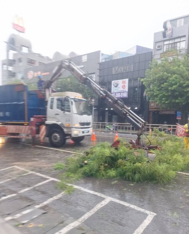 高雄市新興區五福二路與文橫路口上午有路樹傾倒，市府工務局公園處獲報派員前往清除。（高雄市工務局提供）中央社記者蔡孟妤傳真 115年8月23日