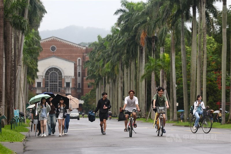 圖為台大校園椰林大道。（中央社檔案照片）