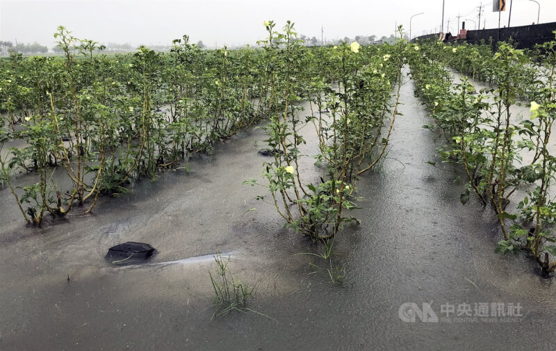 中央災害應變中心26日指出，本次豪雨造成的農損及災損共新台幣9661萬元，其中以嘉義縣損失最為慘重。圖為嘉義縣農地淹水情況。（中央社檔案照片）