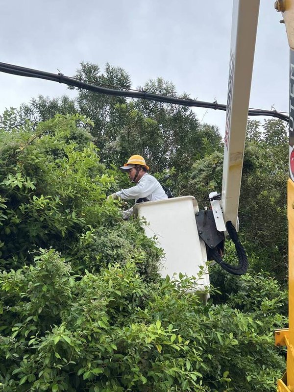 嚴防颱風沙德爾對馬祖造成災情，台灣電力公司馬祖區營業處26日啟動防颱整備作業，包括加強供電設備巡視及預防性樹木修剪等。（台灣電力公司馬祖區營業處提供）中央社記者潘欣彤傳真　115年8月26日
