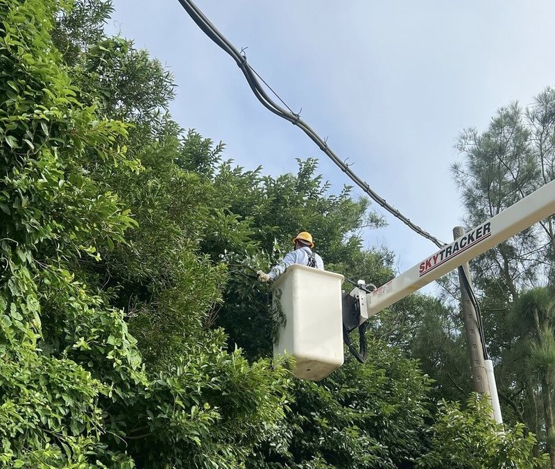颱風沙德爾進逼，台電動員7215名人力投入防颱準備。圖為台電馬祖區處在颱風來臨前，完成預防性樹木修剪，嚴防強風豪雨可能造成的災害。（台電提供）中央社記者謝怡璇傳真　115年8月27日