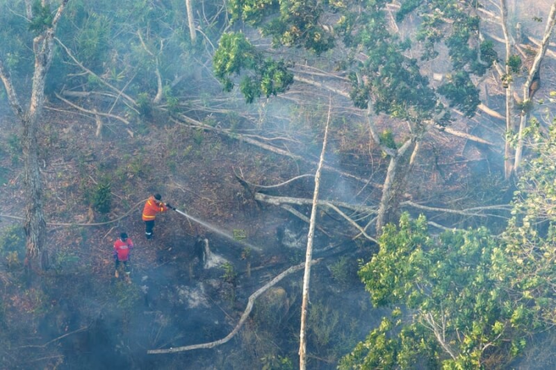 印尼東加里曼丹省3日一處山林野火景象，消防員拉水線試圖撲滅火勢。（Public Relations Office of the Nusantara Capital City Authority/Handout via 路透社）