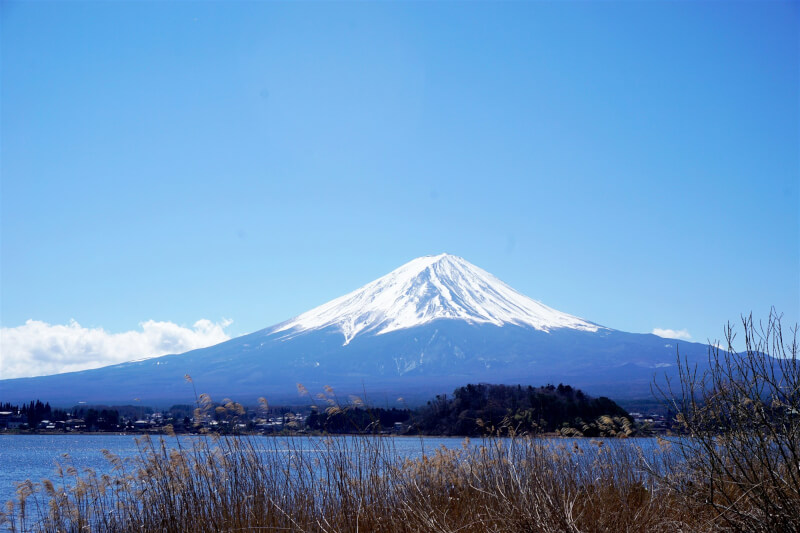 兩名中國遊客，日前在日本富士山山中湖畔追逐並徒手捕捉野生天鵝的照片，在網路上引發討論。（圖取自Unsplash圖庫）