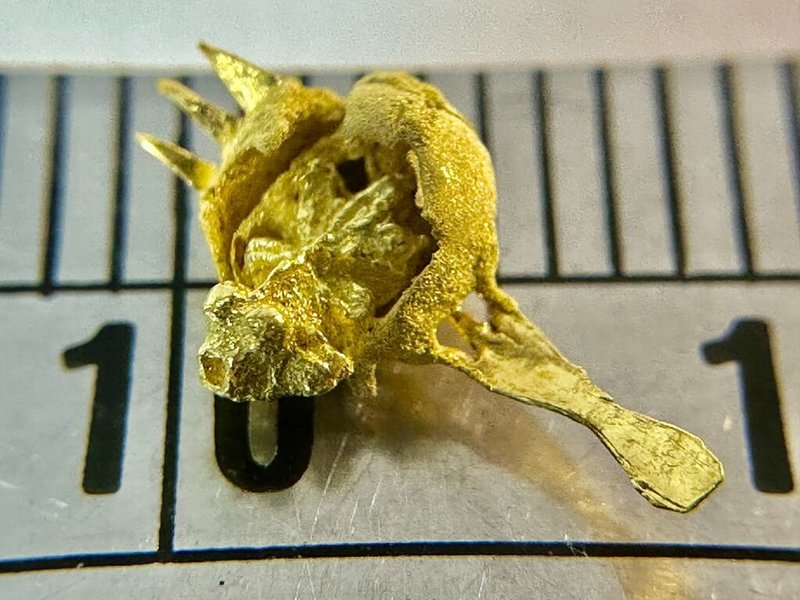 台灣毫芒雕刻家陳逢顯挑戰極限工藝，歷經3個月創作，推出黃金微雕作品「叉子上的金魚」。魚卵內一尾栩栩如生的黃金魚正奮力游出，彷彿掙脫魔手束縛、追尋生命自由。（陳逢顯提供）中央社記者黃旭昇傳真  115年9月12日