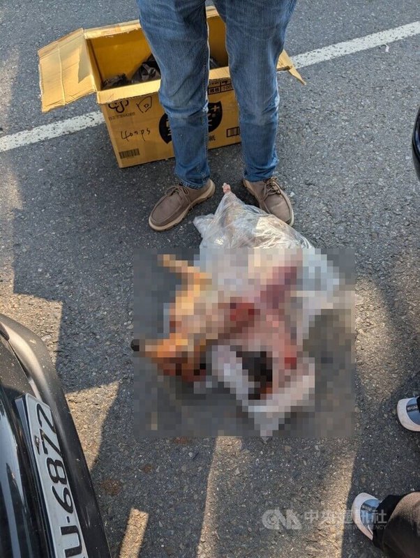 越南籍陳姓男子透過不明人士取得已屠宰的台灣長鬃山羊且在網路販售，經民眾發現報案，陳男於民國114年11月間現身交易時遭逮，警方查扣證物並將人送辦。（翻攝照片）中央社記者蘇木春傳真　115年9月12日