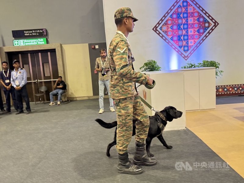 金磚國家（BRICS）峰會於印度進行期間，有關單位在維安上絲毫不敢鬆懈，安排犬隻（如圖）在會場周遭巡視。中央社記者李晉緯新德里攝　　115年9月13日