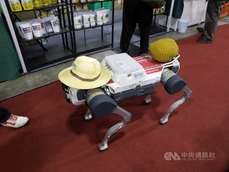 馬來西亞農業科技展展示機器狗載榴槤,呈現智慧科技與農業應用的可能性。中央社記者黃自強吉隆坡攝 115年9月14日