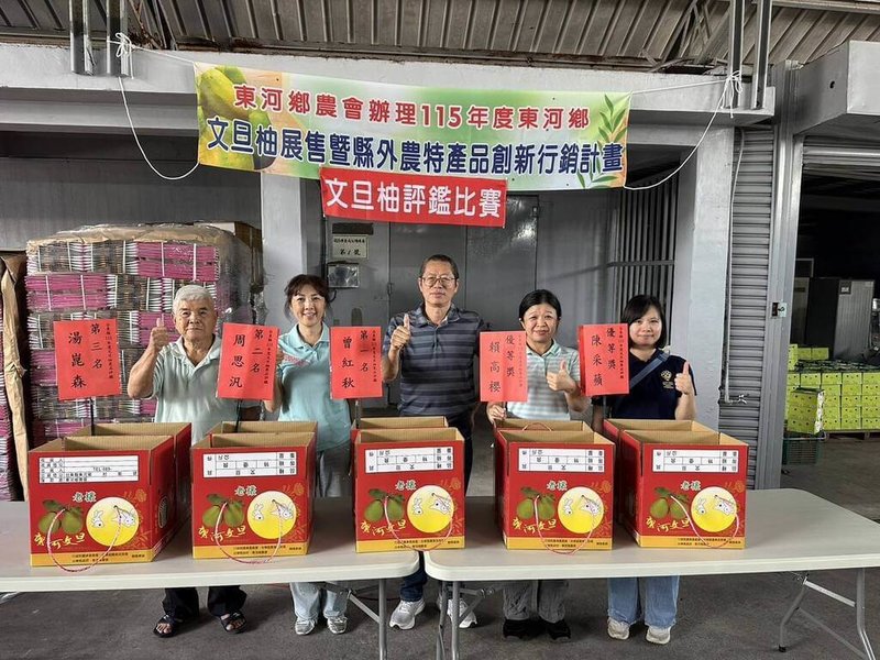 台東縣東河鄉115年度文旦柚評鑑15日舉行，依據文旦柚外觀、果形、色澤、果肉品質、糖度、風味及整體表現等項目進行評比後結果出爐，由農友曾紅秋獲金牌。（東河鄉農會提供）中央社記者盧太城傳真　115年9月16日