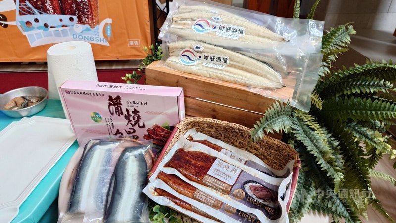 中秋團圓吃烤肉,嘉義縣鰻魚盛產,縣府推薦烤鰻魚,不論蒲燒鰻串、白燒鰻串,只要稍微烤熱就能香氣四溢。中央社記者蔡智明攝 115年9月16日