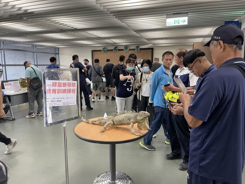 屏東縣政府10月規劃6場綠鬣蜥訓練課程，共750個名額，22日起開放報名，年滿18歲設籍屏東縣民眾皆可報名參加，盼透過專業課程建立正確且安全移除觀念，共同守護屏東生態環境。（屏東縣政府提供）中央社記者李卉婷傳真　115年9月20日