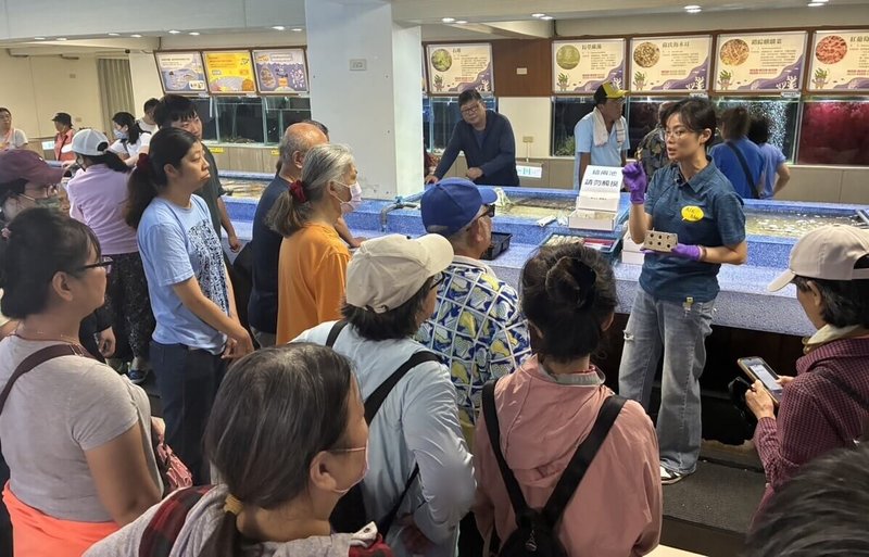 澎湖區漁會辦理「菊島一隅．澎湖漁村」親海體驗活動，讓參與者從產地、生態一路連結到餐桌，建立認識海洋、珍惜資源、吃在地水產的觀念。（澎湖區漁會提供） 中央社　115年9月20日