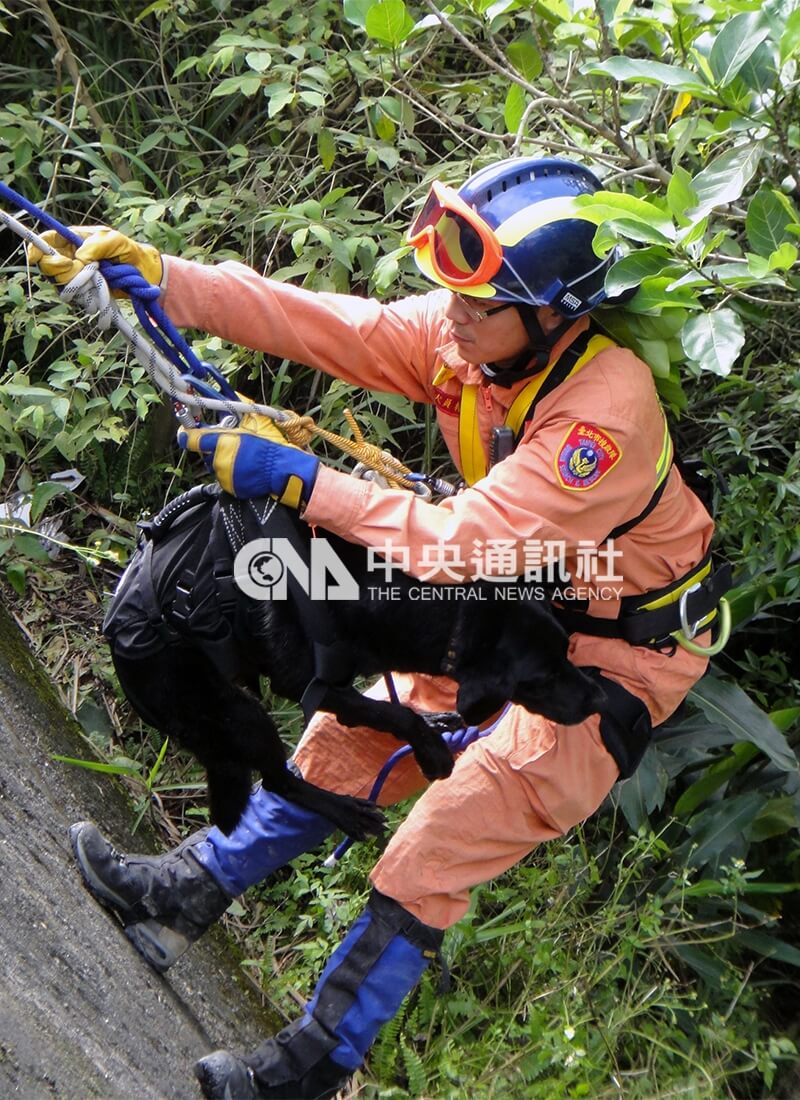 搜救隊挺進蘇花公路116公里坍方處，隊員帶著繫好繩索的搜救犬，準備垂降進行搜救。中央社記者周永捷攝　99年10月24日