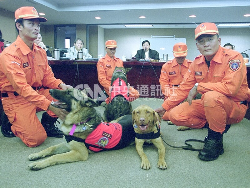 921大地震隔年，台北市率先成立搜救犬小組並派員赴美受訓，帶回Raggie、Koda、Inga、Sadi，為台灣第一批專業搜救犬。中央社記者吳繼昌攝　89年12月7日