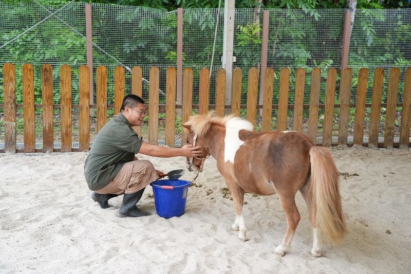 高雄內門野森動物學校27日規劃推出「諾亞方舟拯救動物航行」活動，邀請人氣男團ARKis在園區裡擔任一日助教，將與動物老師一起完成任務。（高雄內門野森動物學校提供）中央社記者林巧璉傳真　115年9月24日