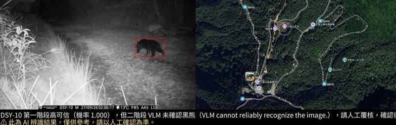 大雪山國家森林遊樂區建置AI防熊預警系統,近日在49K小雪山資訊站旁西勢山林道入口拍攝到臺灣黑熊活動影像。(林業及自然保育署臺中分署提供)中央社記者趙麗妍傳真 115年9月29日