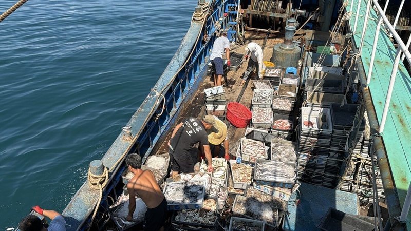 中國漁船近期頻傳越界,澎湖海巡隊1日在西嶼西北海域查獲「粵饒漁33616」越界作業,當場查扣人船,船上漁獲海拋。(澎湖海巡隊提供)中央社 115年10月1日
