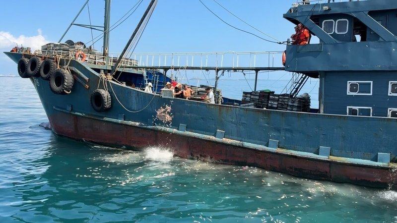 澎湖海巡隊1日在西嶼西北海域查獲「粵饒漁33616」漁船越界作業，隨即強靠登檢，經清艙後發現漁獲約850公斤，全數海拋，人船則一併押返調查。（澎湖海巡隊提供）中央社　115年10月1日