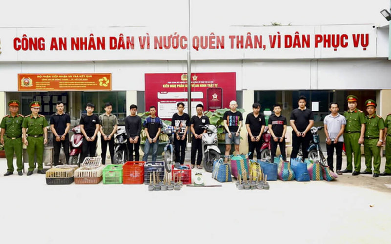 越南媒體報導指出，胡志明市警方破獲大型偷貓集團，查獲50隻活貓並逮捕12名嫌犯，他們盜竊並轉售約2700隻不同品種的貓。警方當場查獲50隻活貓、55個捕貓陷阱、2台秤和2台除毛機。（胡志明市警方提供）中央社記者曾婷瑄河內傳真　115年10月5日