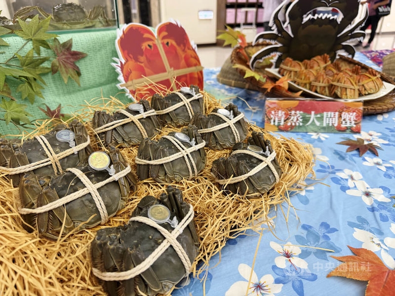 苗栗縣政府輔導養殖的優質大閘蟹6日上市開賣，縣府農業處提醒，購買時認明縣府核發的「產地QR Code雷射防偽蟹環」，並向信譽良好的養殖戶或銷售通路購買。中央社記者管瑞平攝　115年10月6日