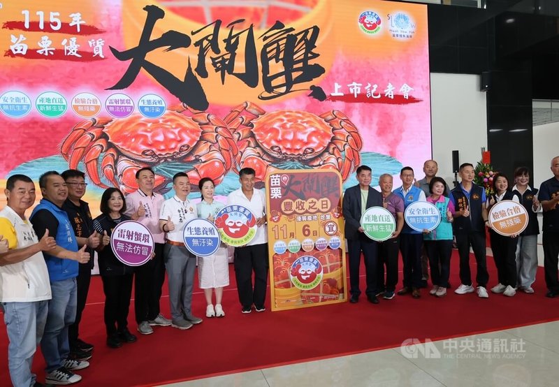 苗栗縣政府農業處6日在縣府大廳舉辦記者會，宣告今年「苗栗優質大閘蟹」上市，邀請全國饕客把握最佳賞味期。中央社記者管瑞平攝　115年10月6日